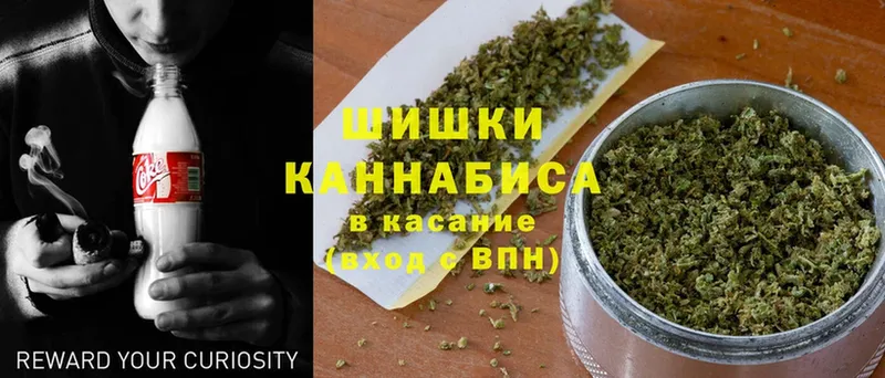 Каннабис OG Kush  Кувандык 